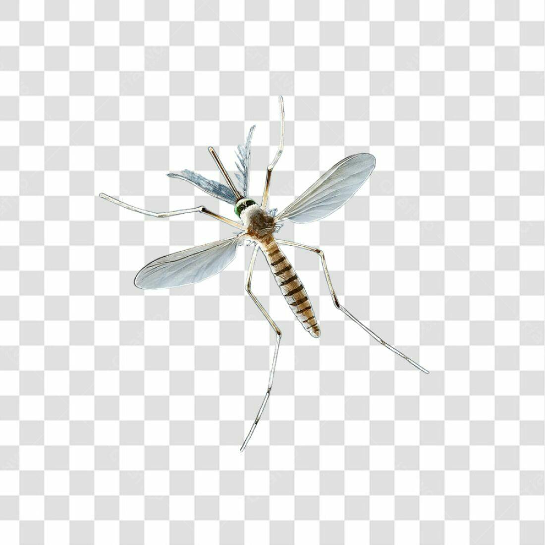 Icone Mosquito Marrom PNG com fundo transparente