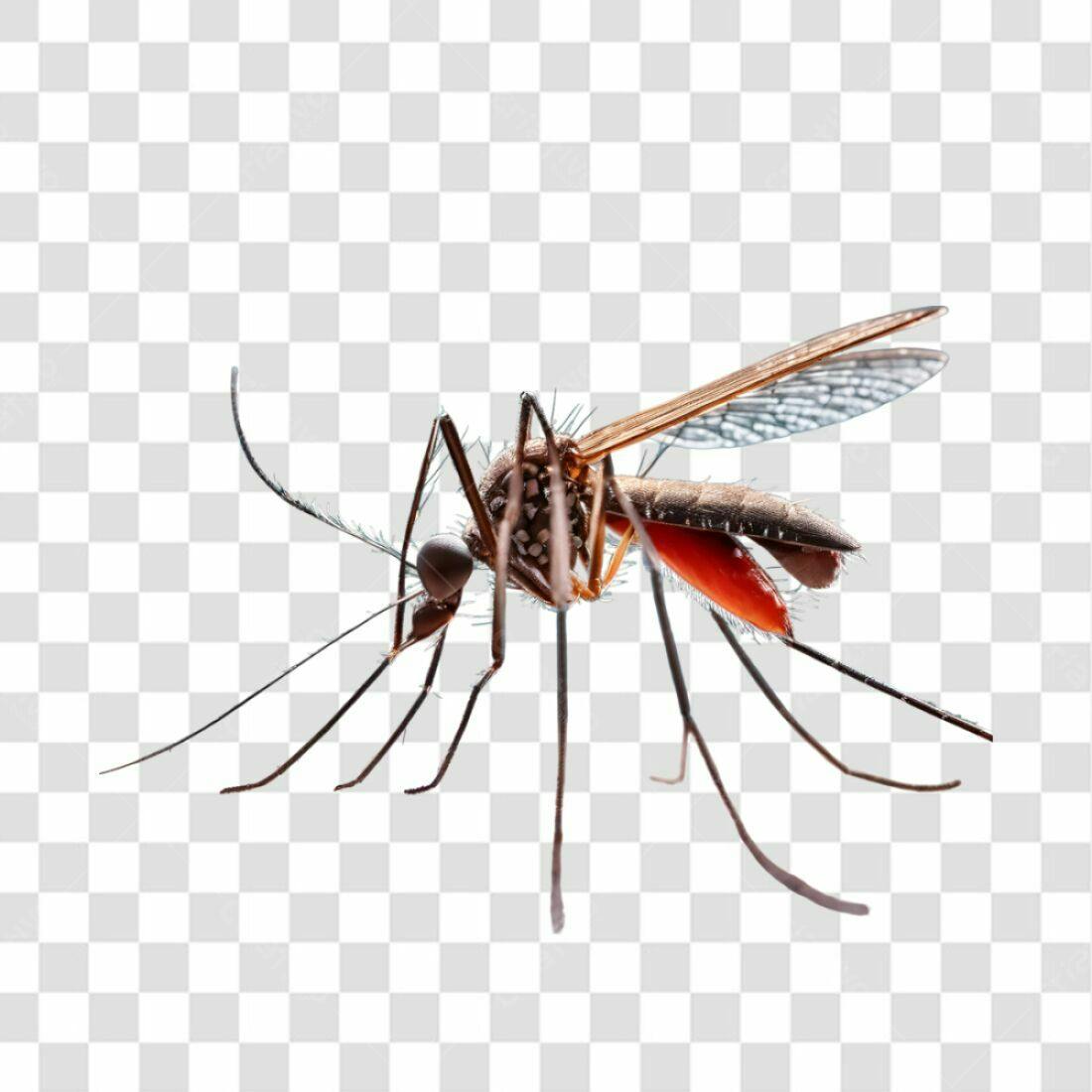 Icone Mosquito Marrom PNG com fundo transparente