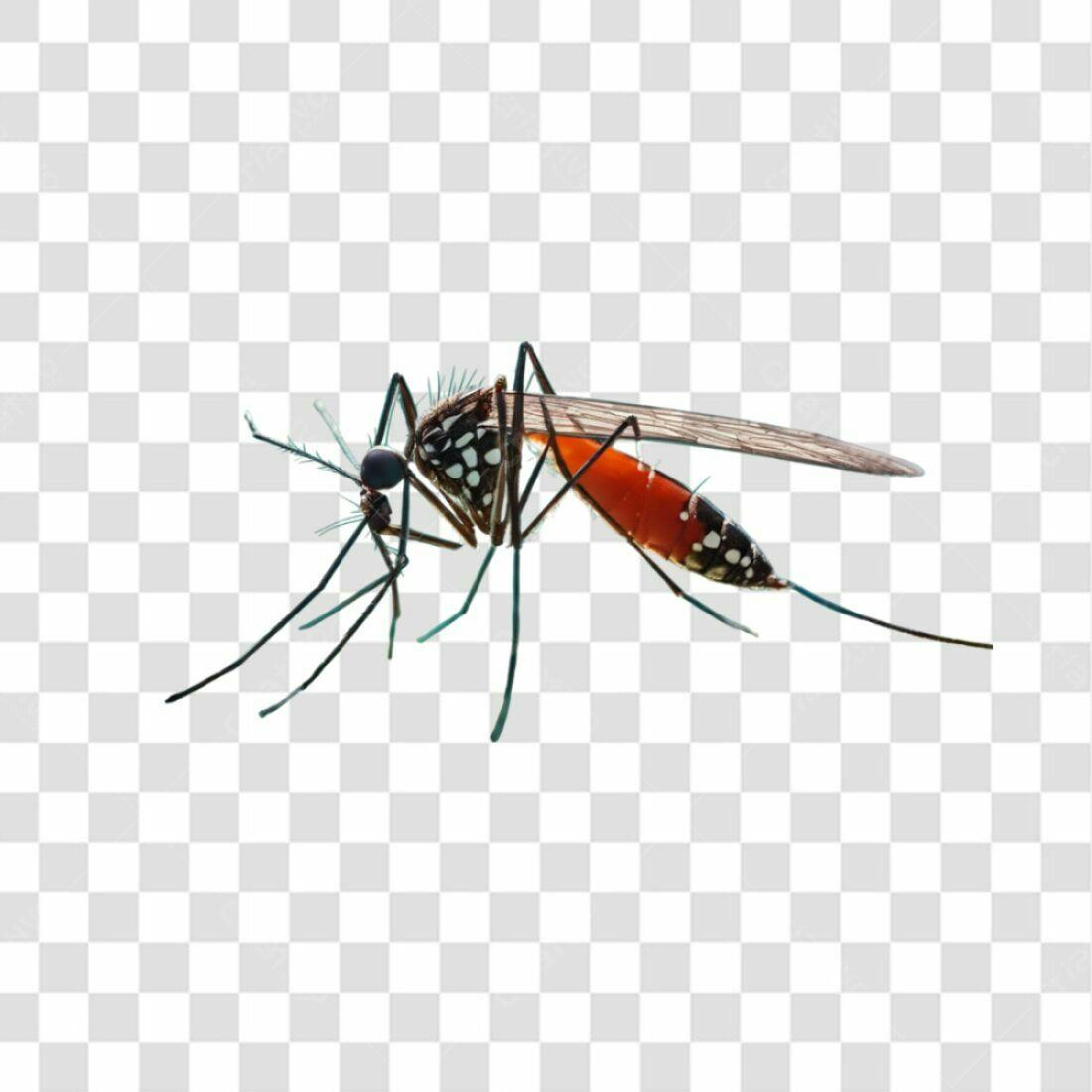 Icone Mosquito PNG com fundo transparente
