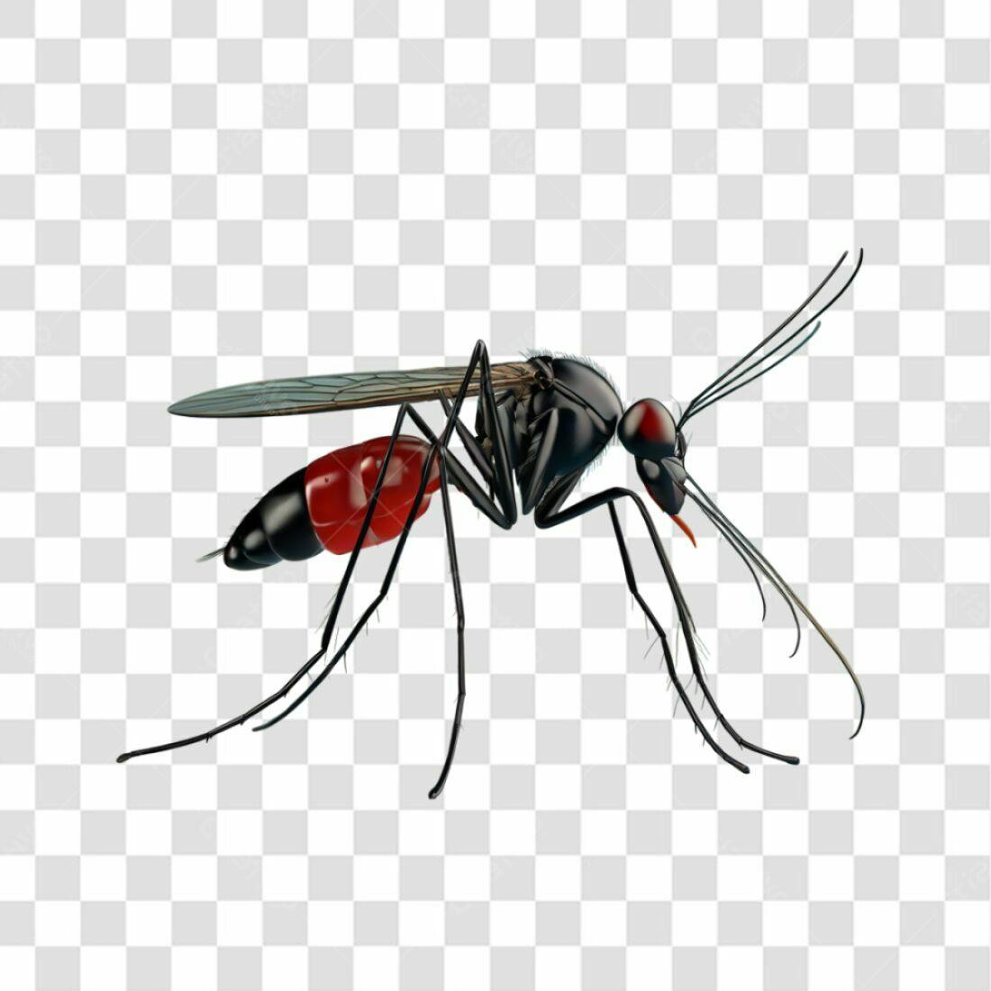 Icone Mosquito Preto e Vermelho PNG com fundo transparente