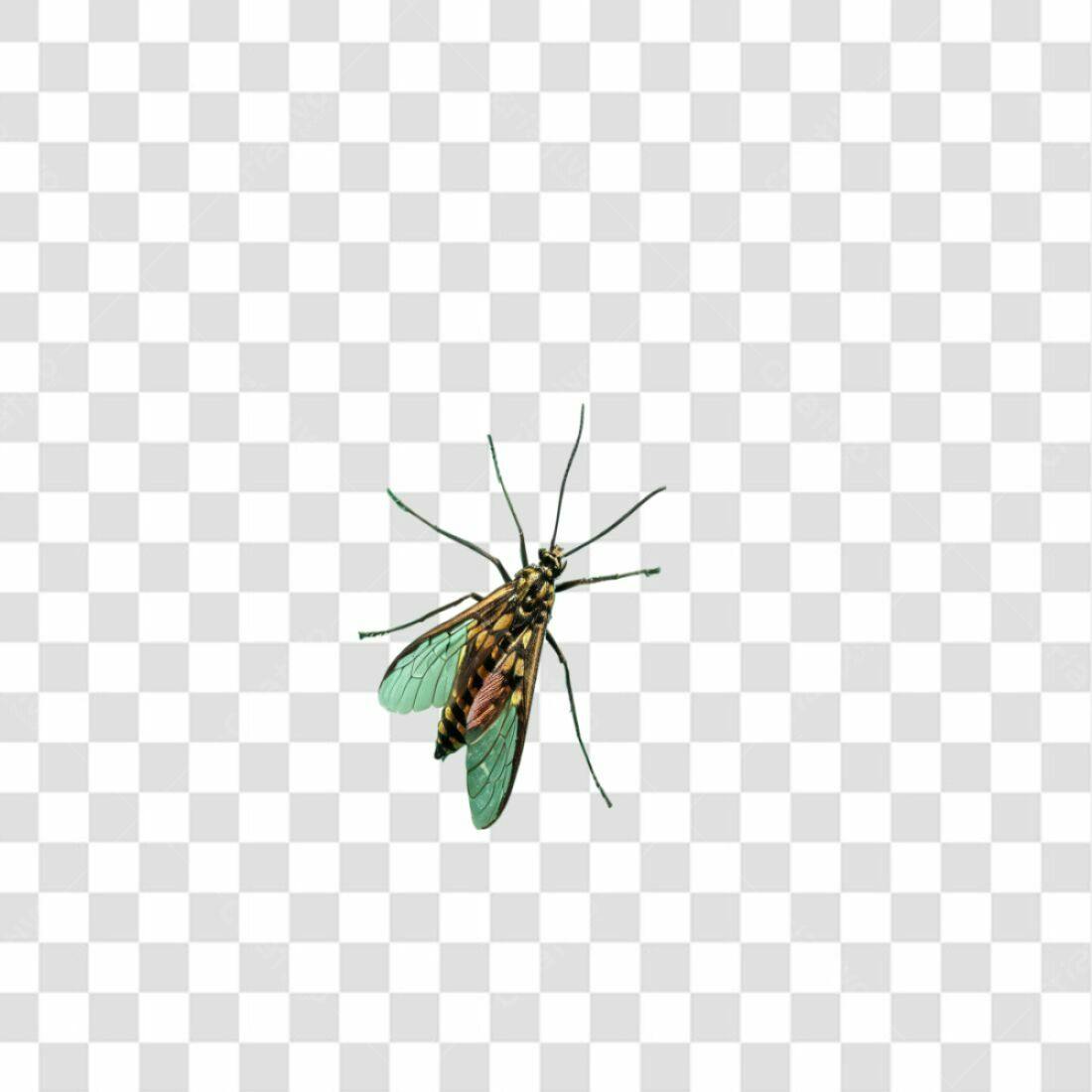Icone Inseto Verde e Marrom PNG com fundo transparente