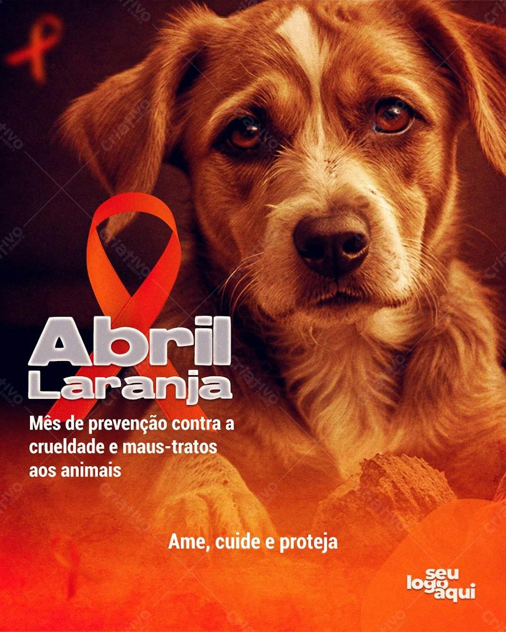 Abril Laranja, Maus-Tratos, Animal, Pet, Arte Editável