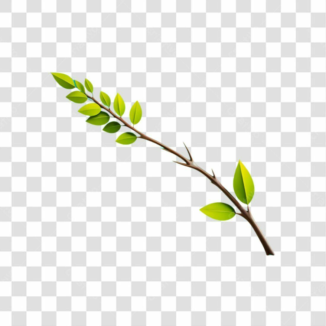Icone galho com folhas PNG com fundo transparente
