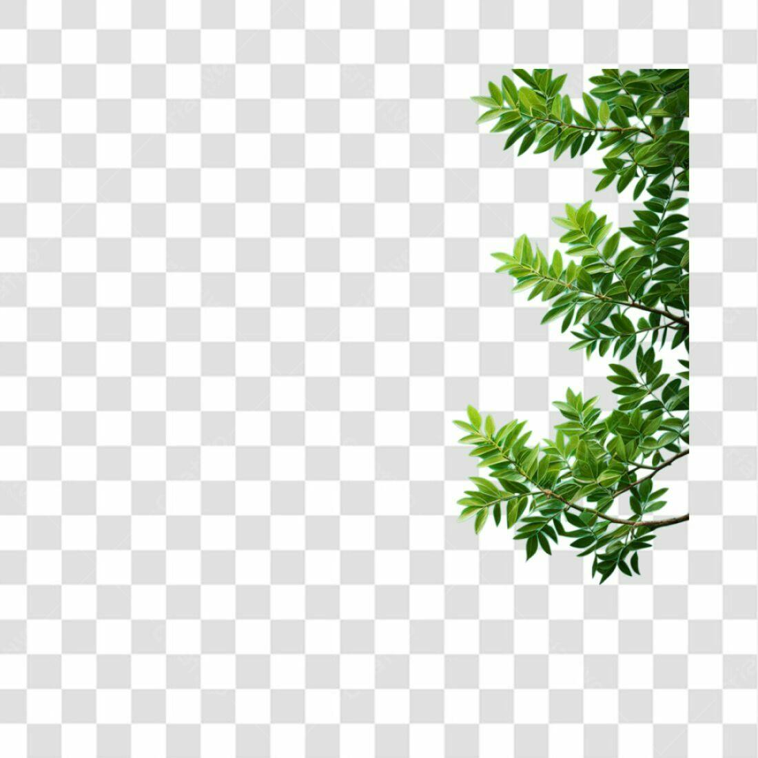 Moldura PNG com fundo transparente Folhas Verdes