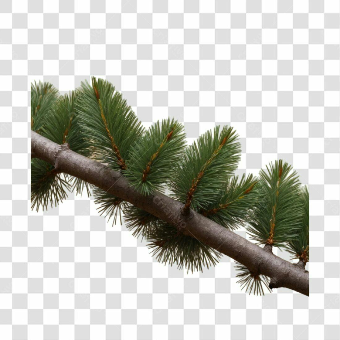 Icone Natal Pinheiro PNG com fundo transparente