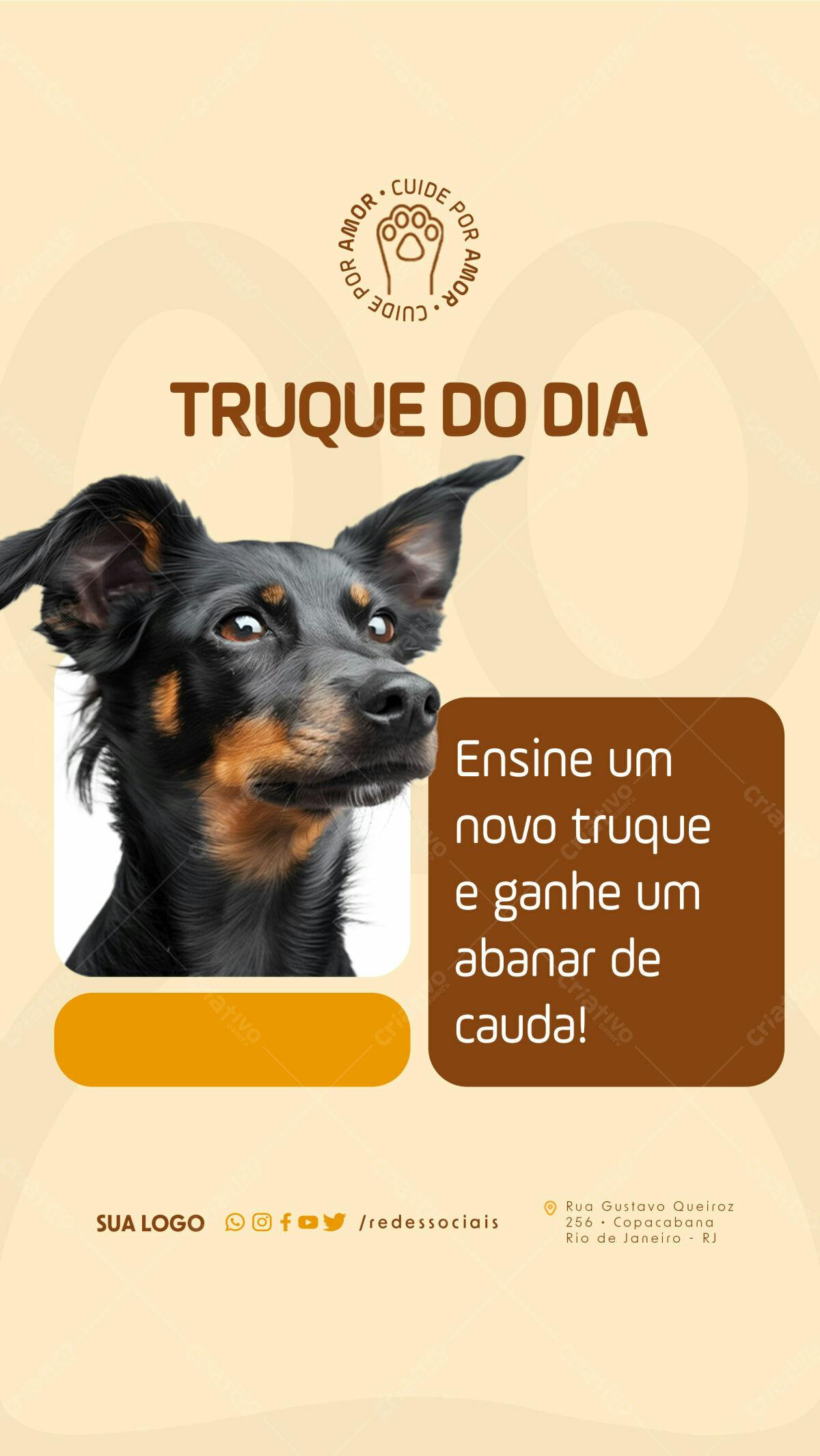 Flyer Treino de Cães PSD Editável