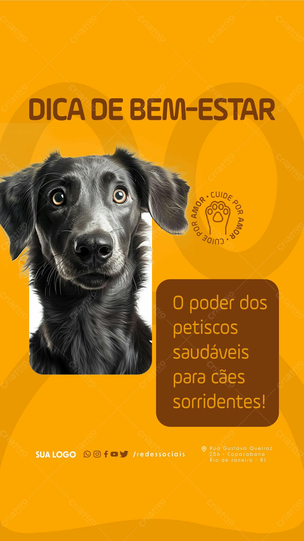 Flyer Bem-Estar Pet PSD Editável