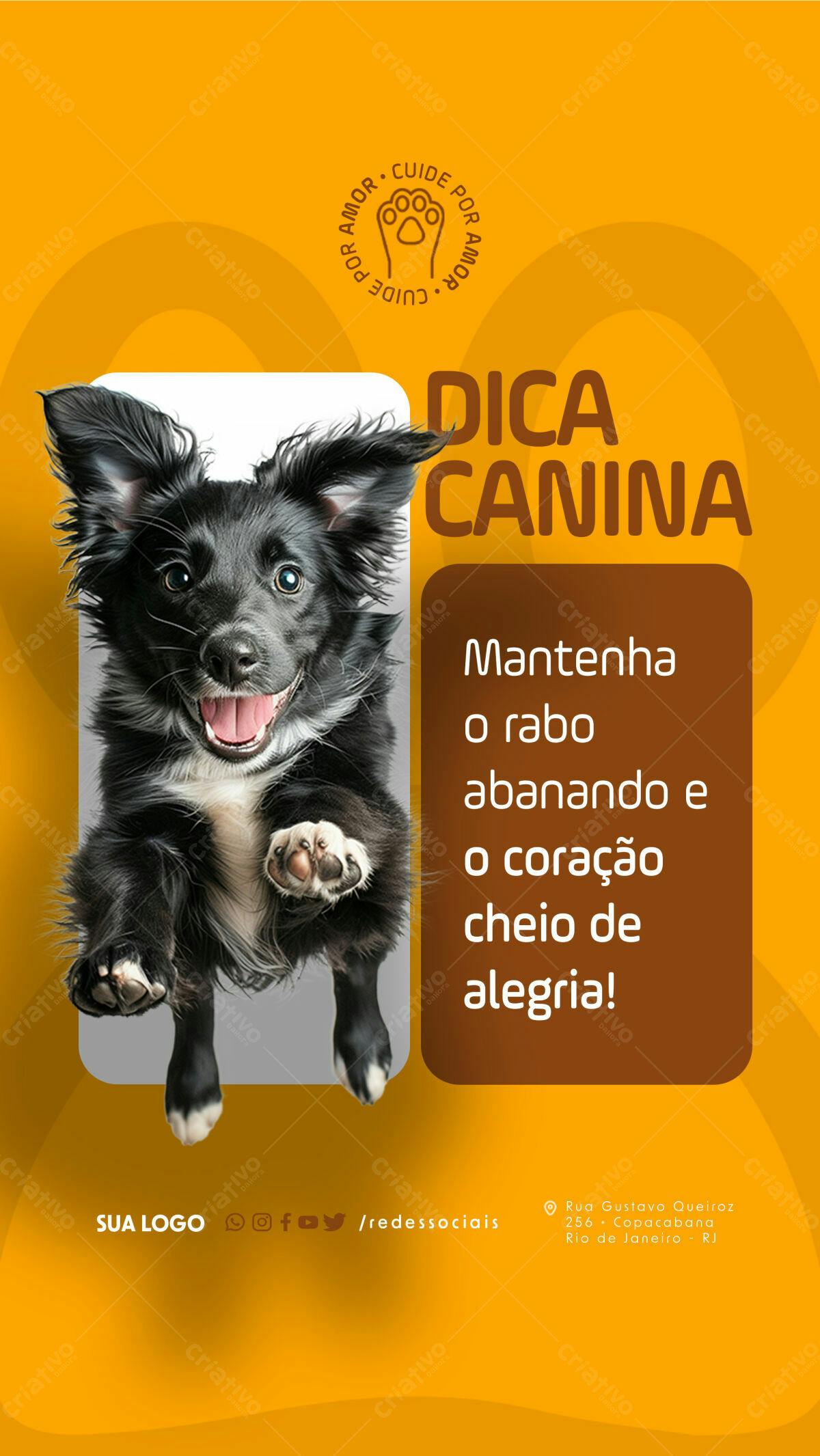 Flyer para Dicas Caninas PSD Editável