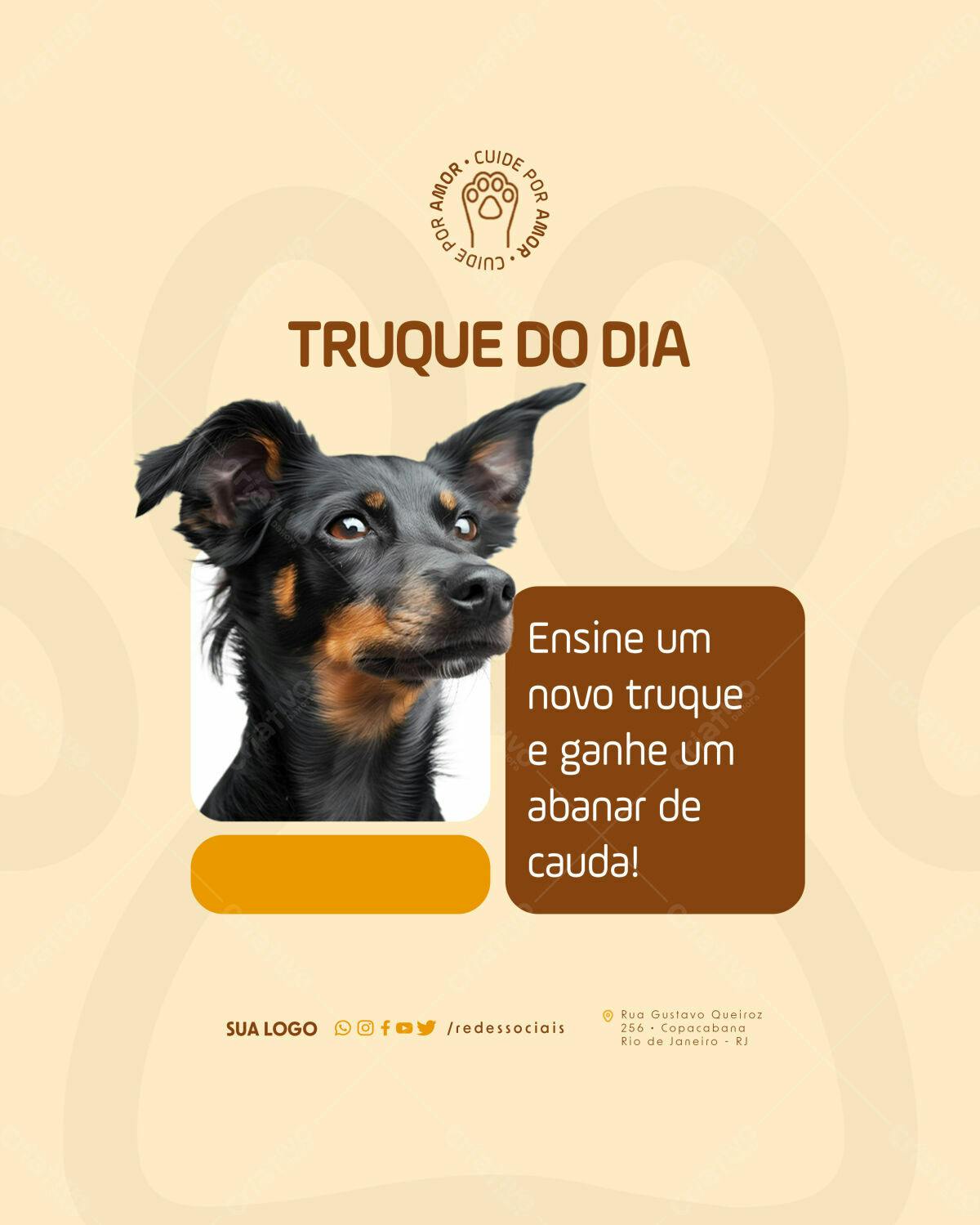 Post para Treino de Cães PSD Editável