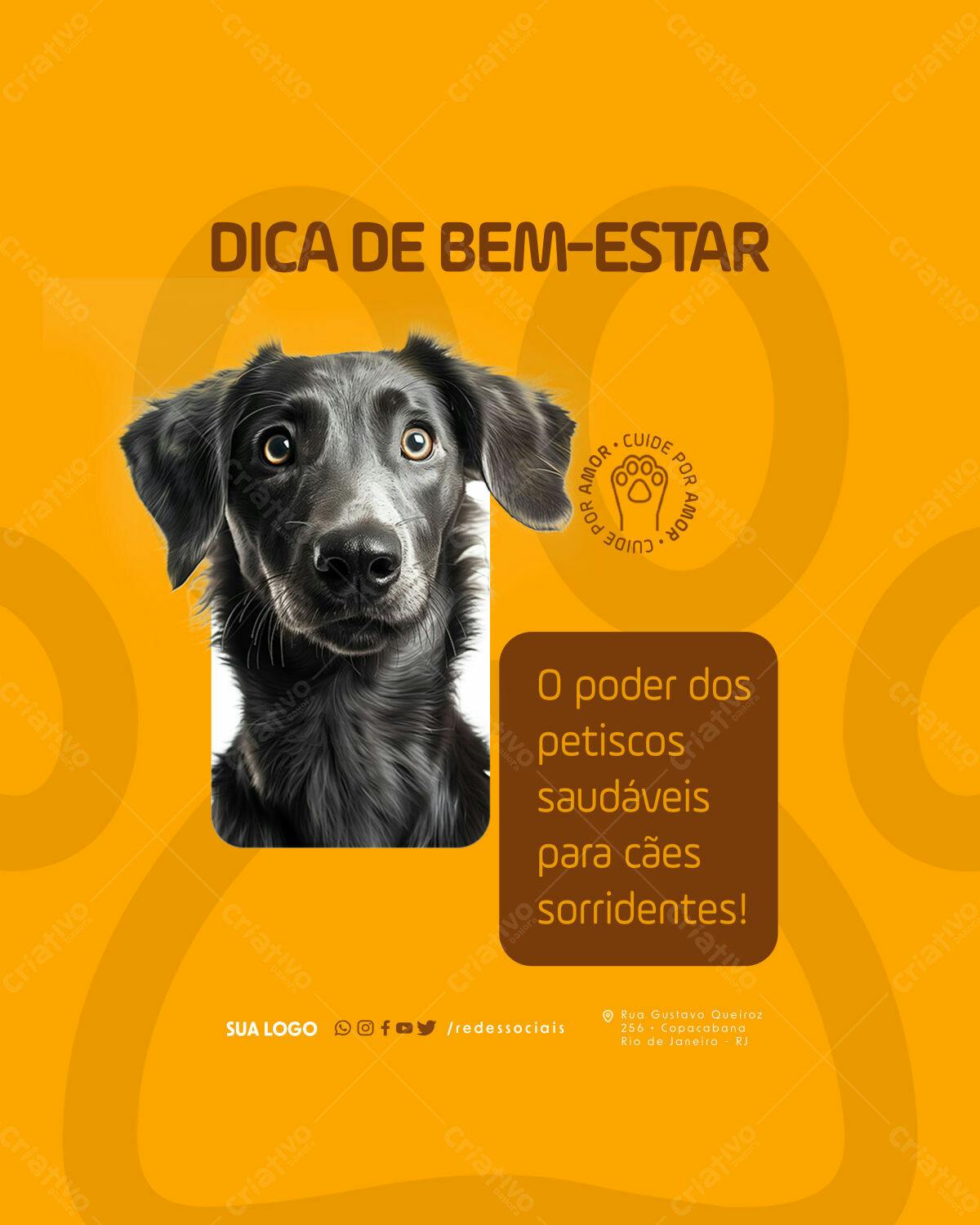 Post para Redes Sociais Bem-Estar Animal PSD Editável