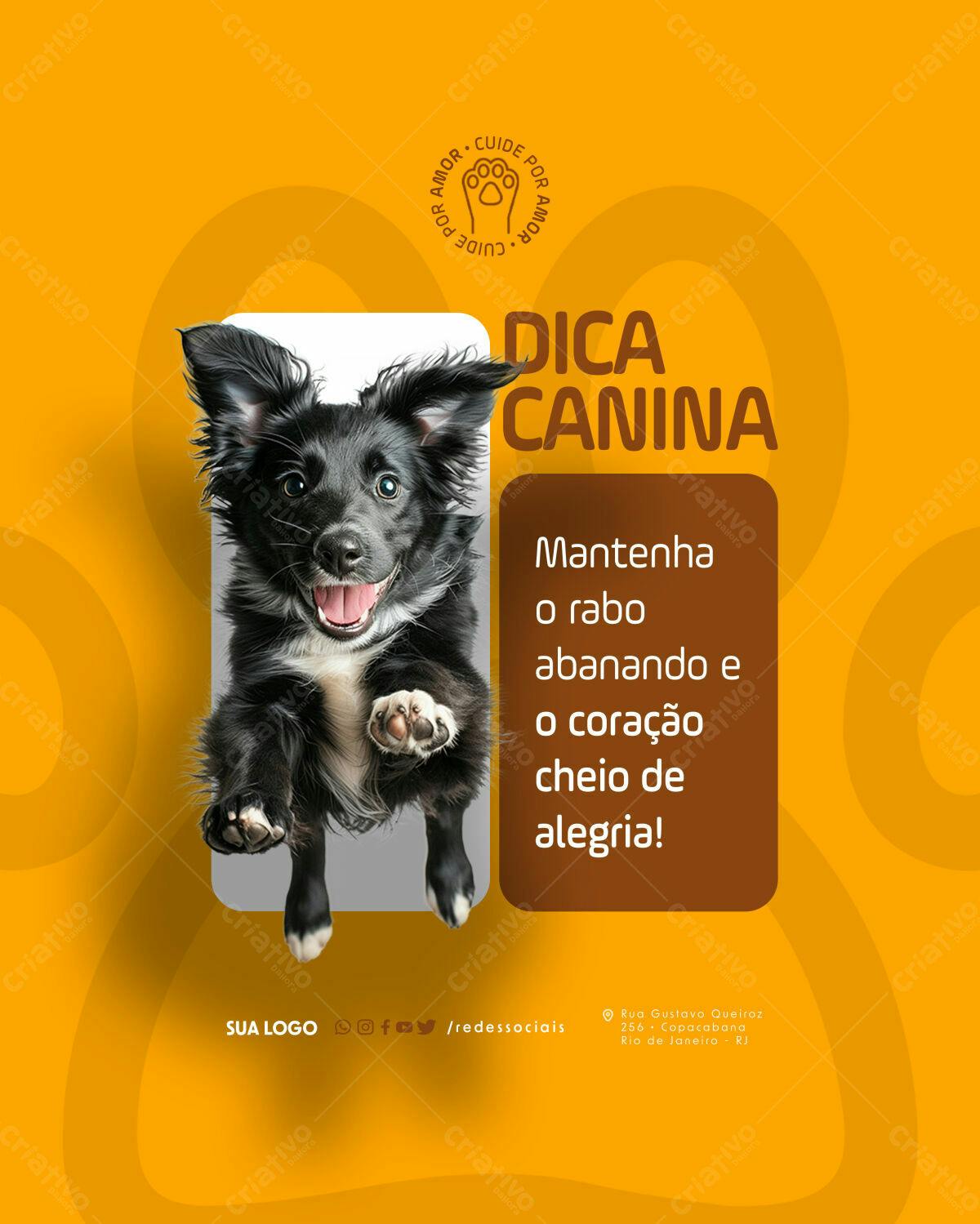 Flyer para Dicas Caninas PSD Editável