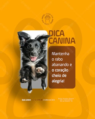 Social media petshop dica canina