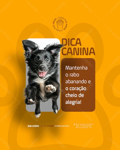 Social Media   Petshop   Dica Canina
