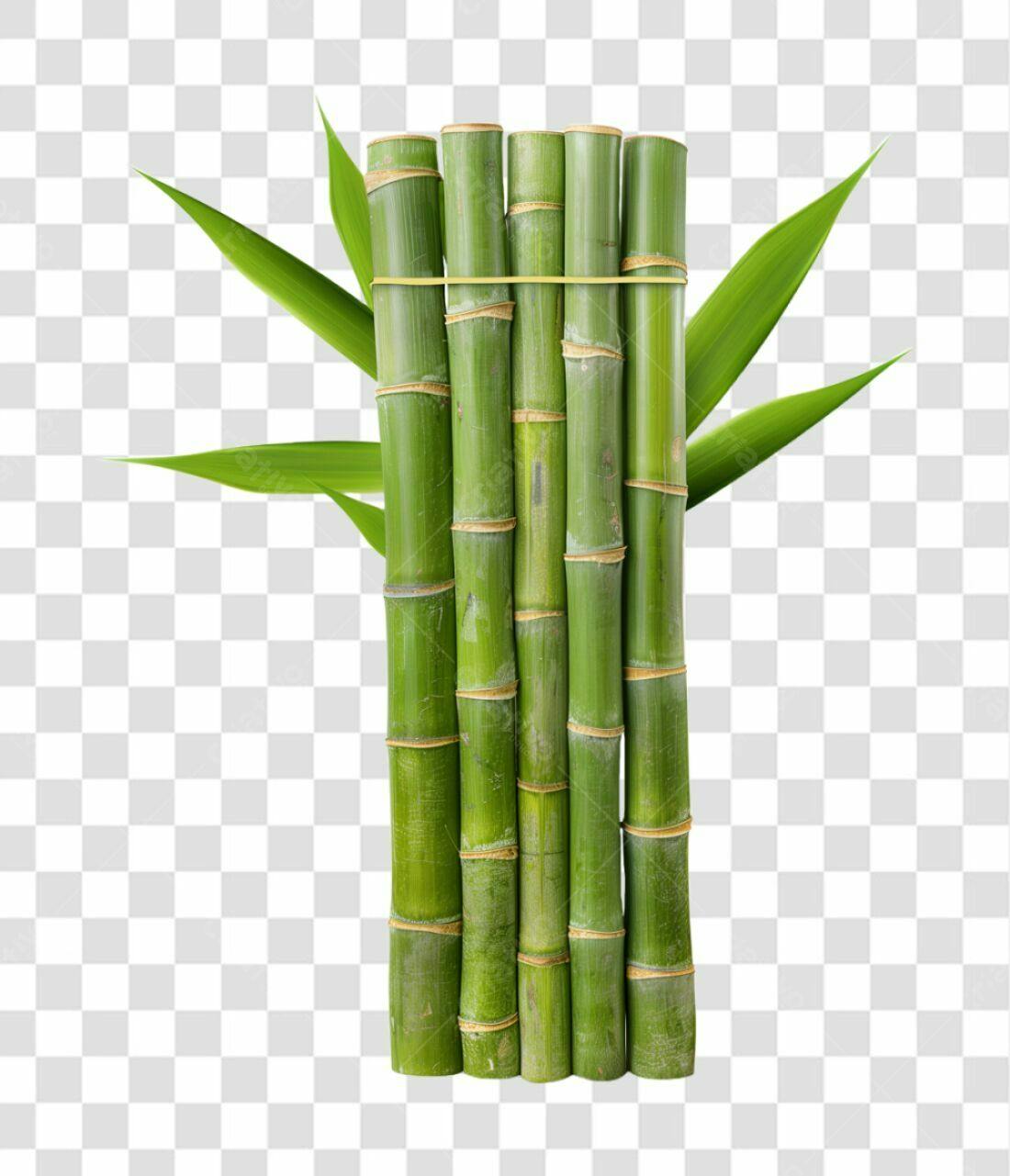 Icone Bambu PNG com fundo transparente