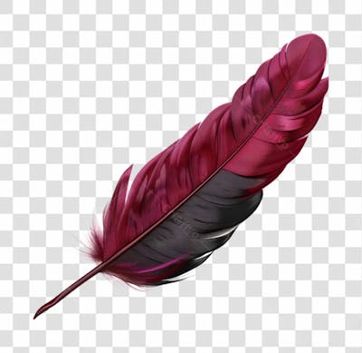 PENA | NATUREZA | IMAGEM SEM FUNDO | PNG