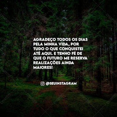 Frases motivacionais feed 1