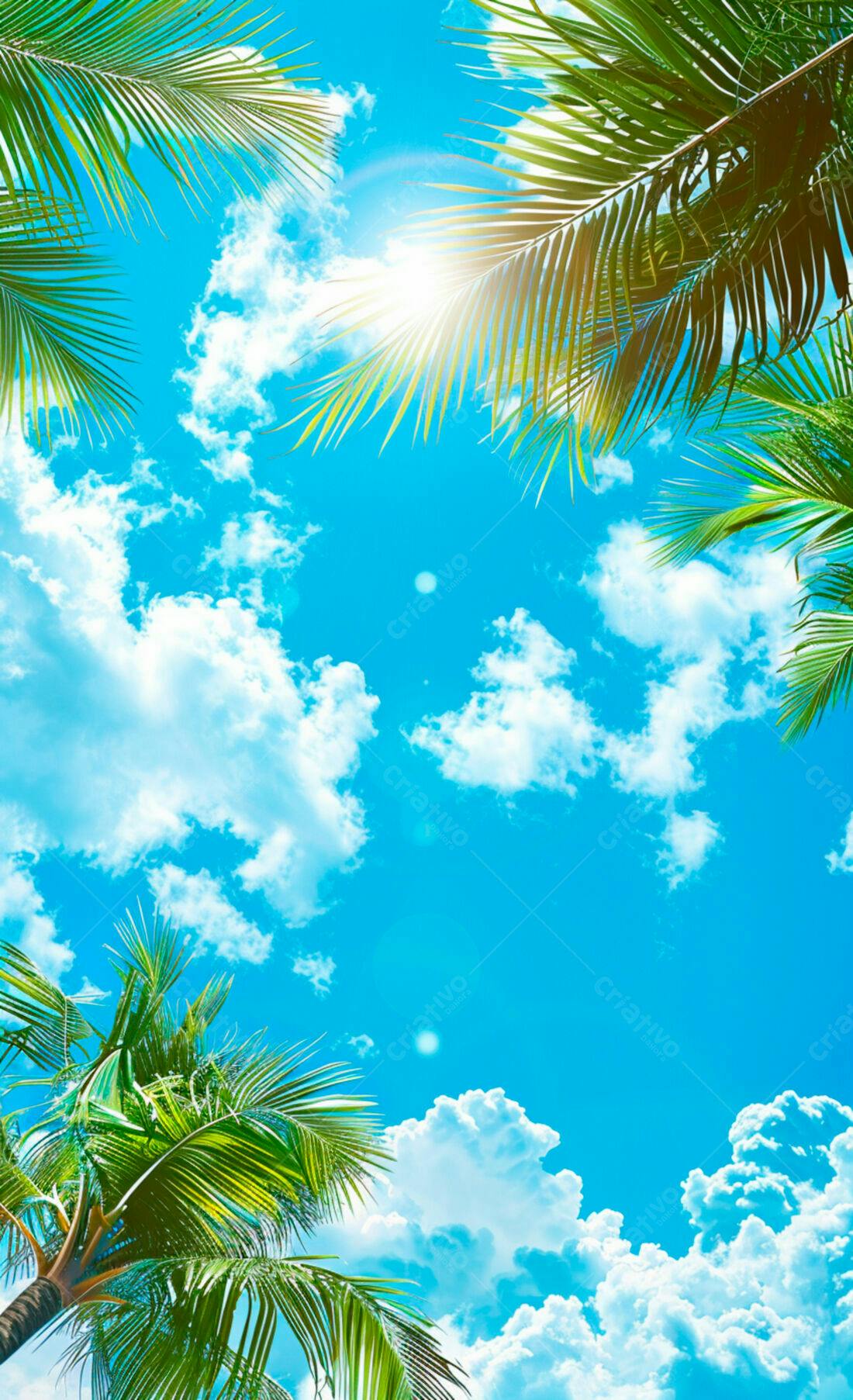 Palmeiras tropicais sob céu azul vibrante