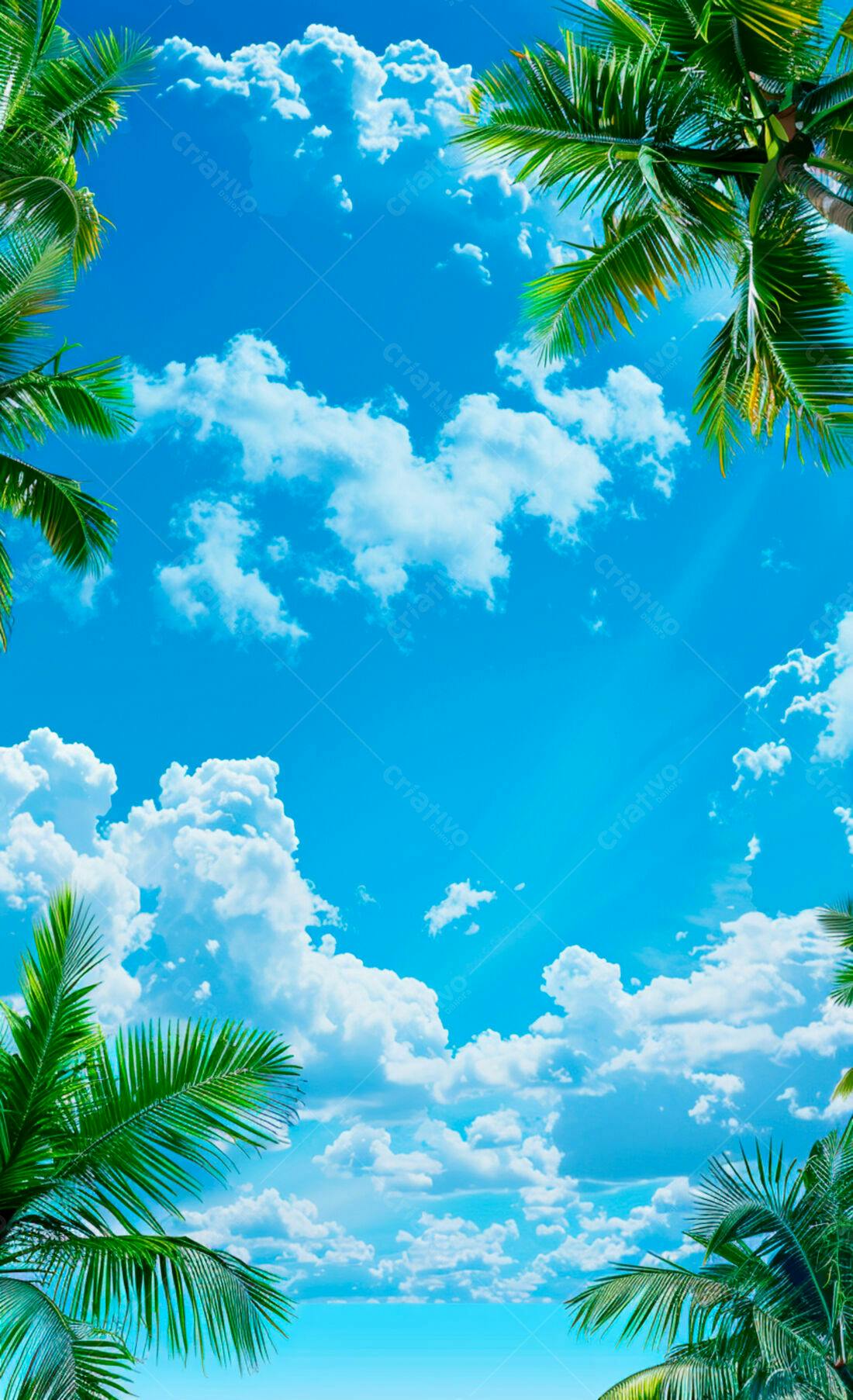 Céu tropical com palmeiras e nuvens brancas