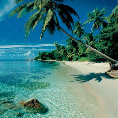 Imagem de fundo praia tropical 5