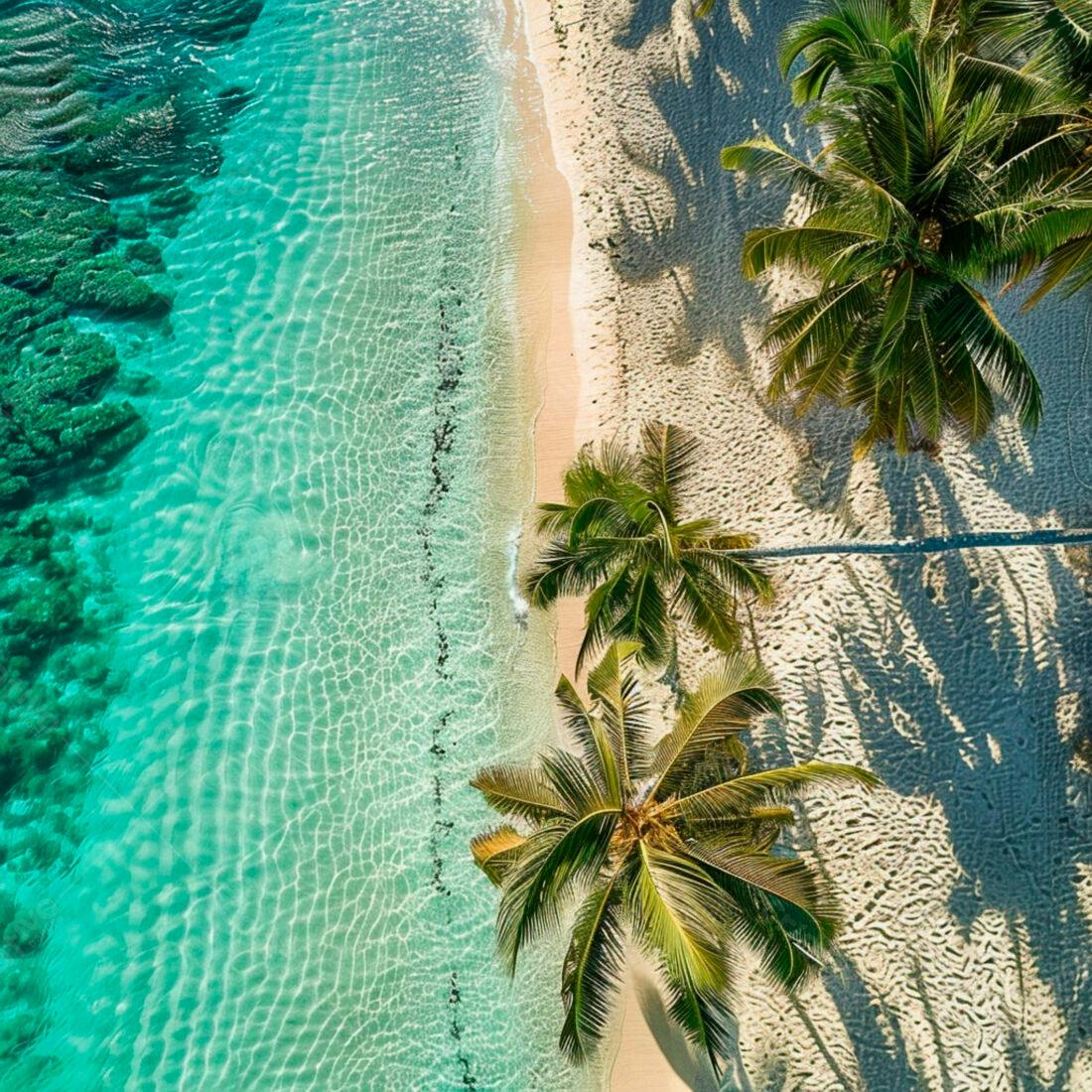 Praia paradisíaca com coqueiros e água turquesa