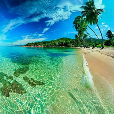 Imagem de fundo praia tropical 10