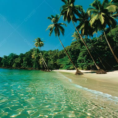 Imagem de fundo praia tropical 29