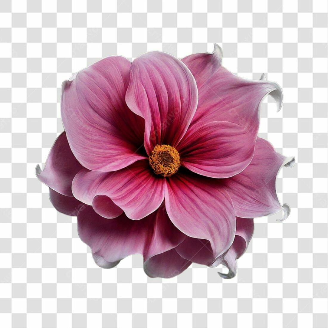 Icone Flor Rosa Romântica PNG com fundo transparente