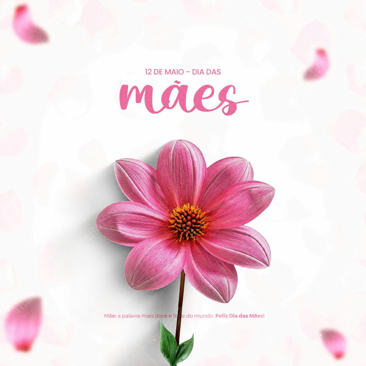 Flyer Dia das Mães com Flor Rosa PSD Editável