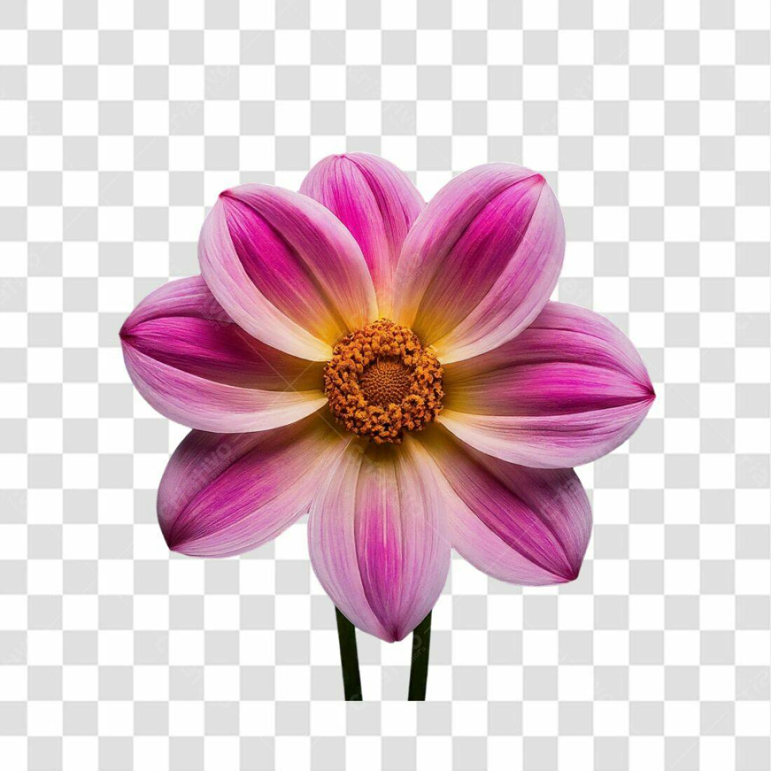 Icone floral rosa e amarelo PNG com fundo transparente