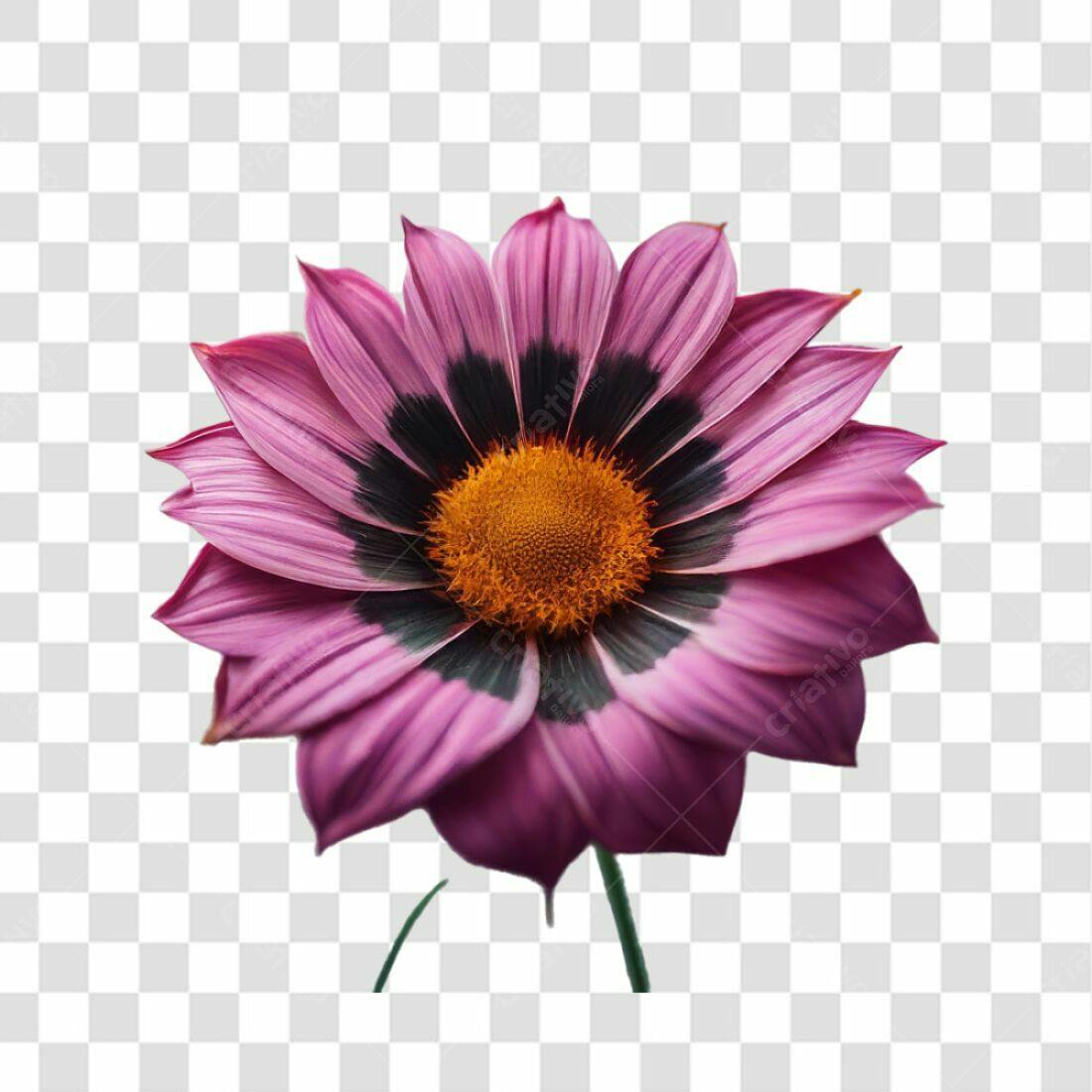 Icone Flor Rosa e Roxa PNG com fundo transparente