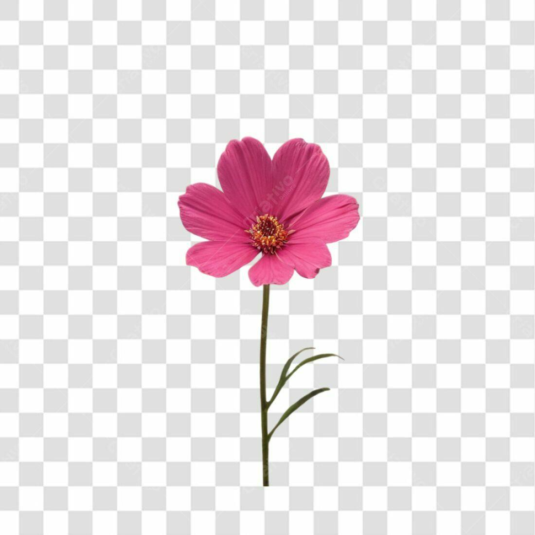 Icone Flor Rosa PNG com fundo transparente
