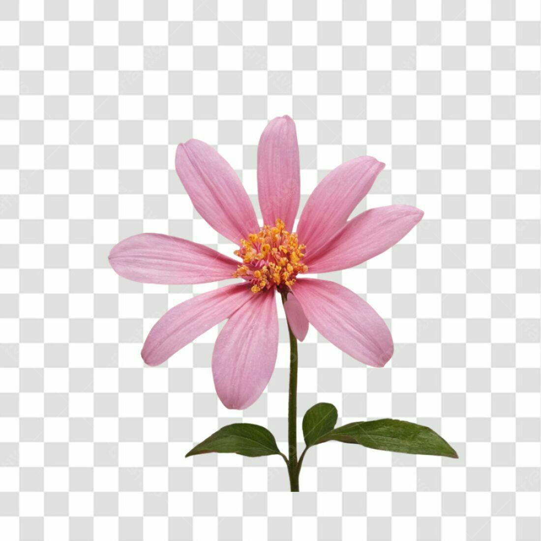 Icone Flor Rosa PNG com fundo transparente