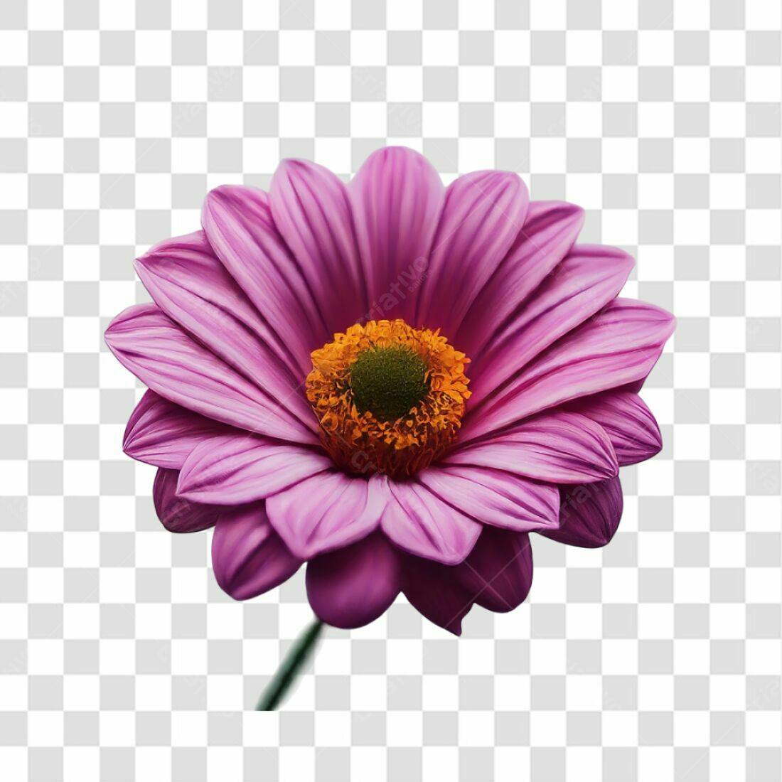 Icone Flor Rosa PNG com fundo transparente
