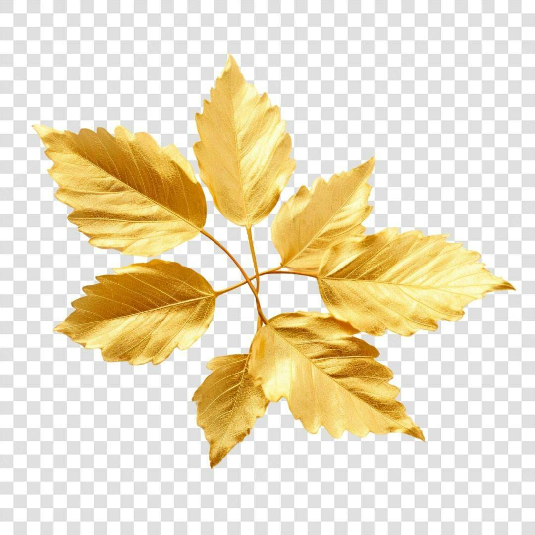 Icone Folhas Douradas PNG com fundo transparente