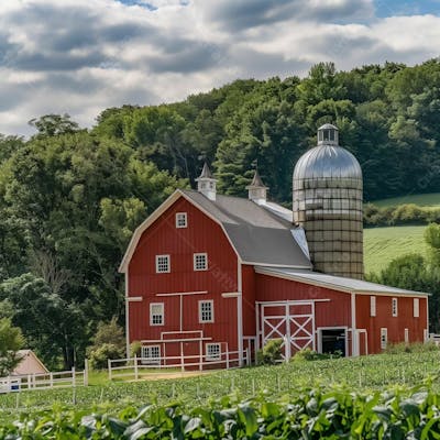 Imagem De Uma Fazenda, Campo