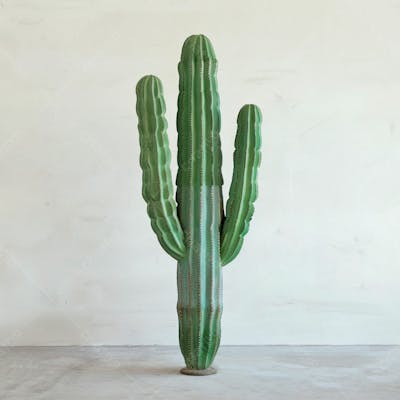 Imagem De Um Cacto Em Um Fundo Branco 13