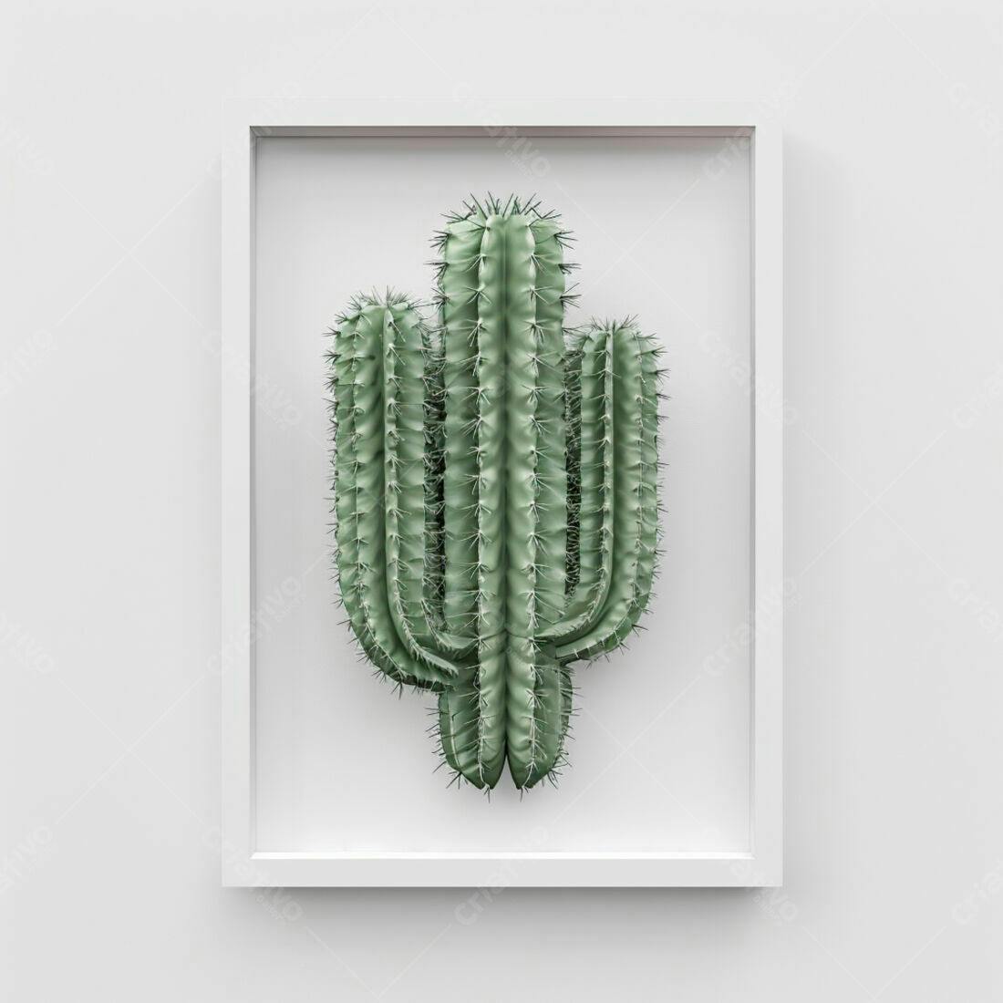 Cacto verde em moldura branca minimalista