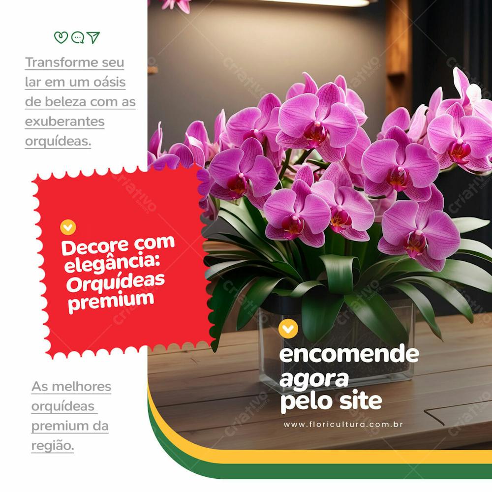 Arte Decore Com Elegância Orquídeas Premium