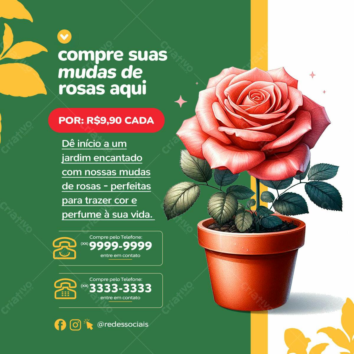 Flyer para Venda de Mudas de Rosas PSD Editável