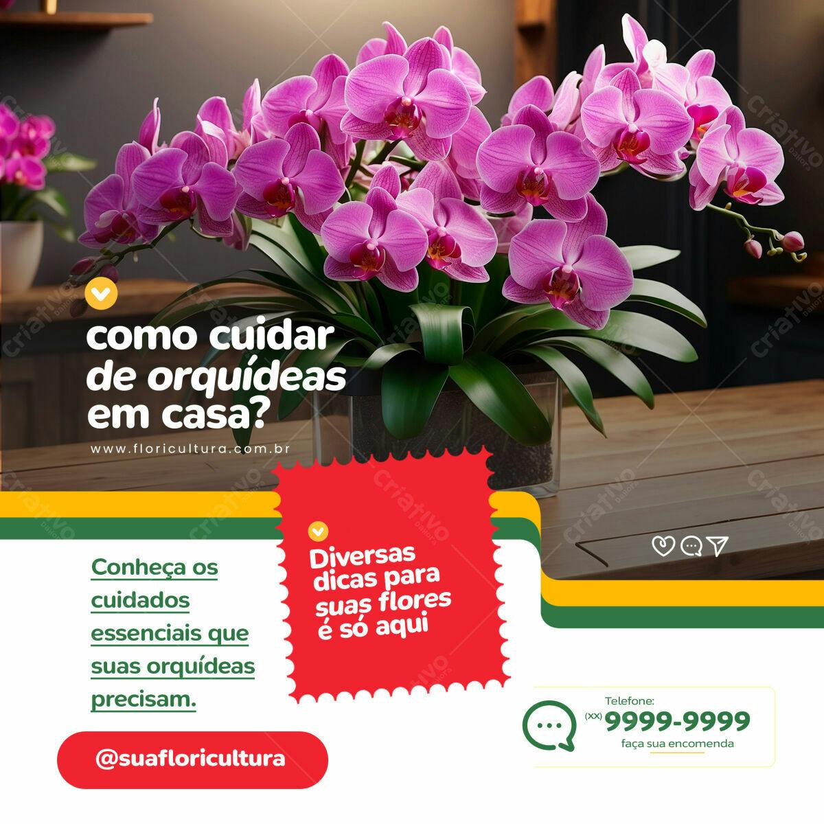 Post para Cultivo de Orquídeas PSD Editável