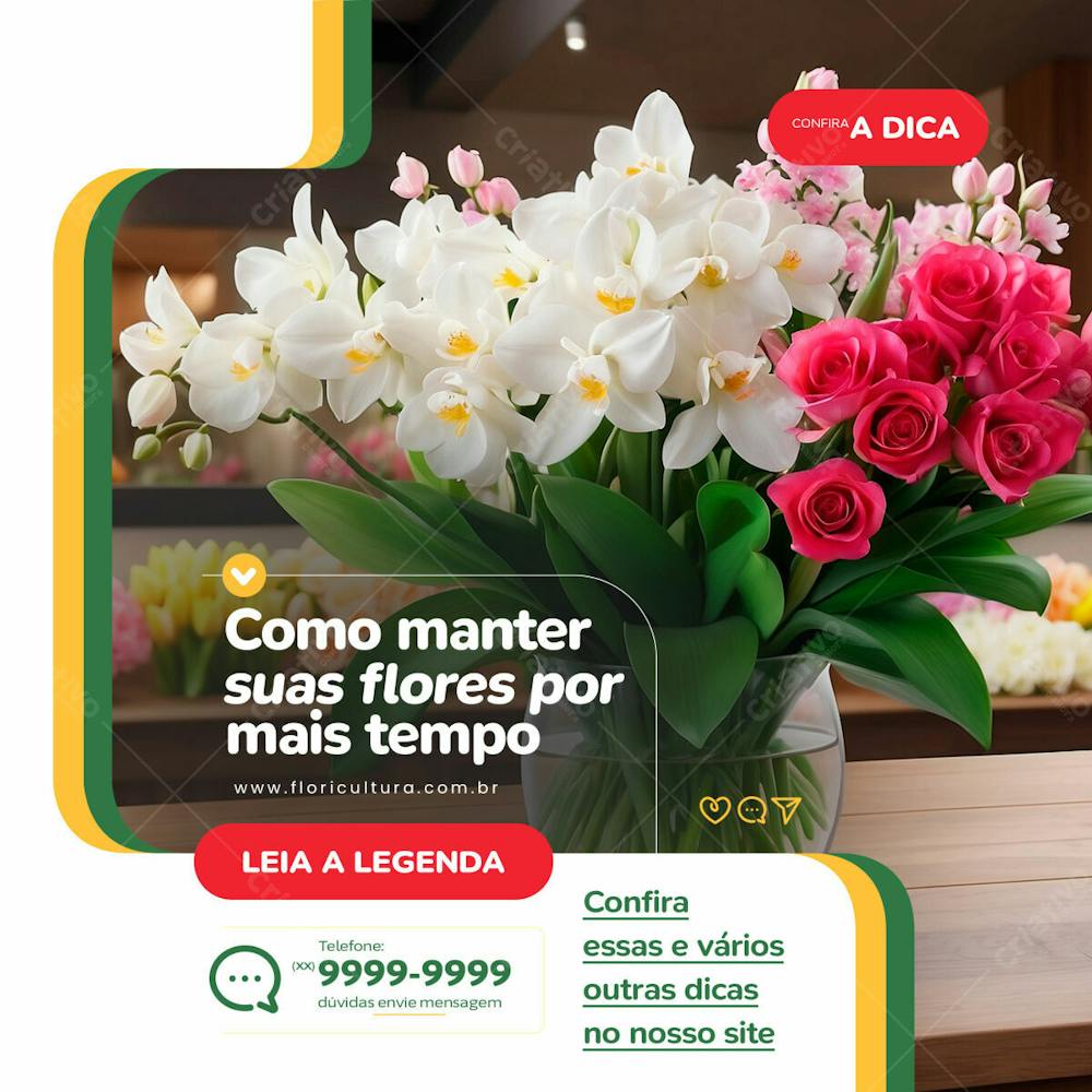 Arte Como Manter Suas Flores Por Mais Tempo