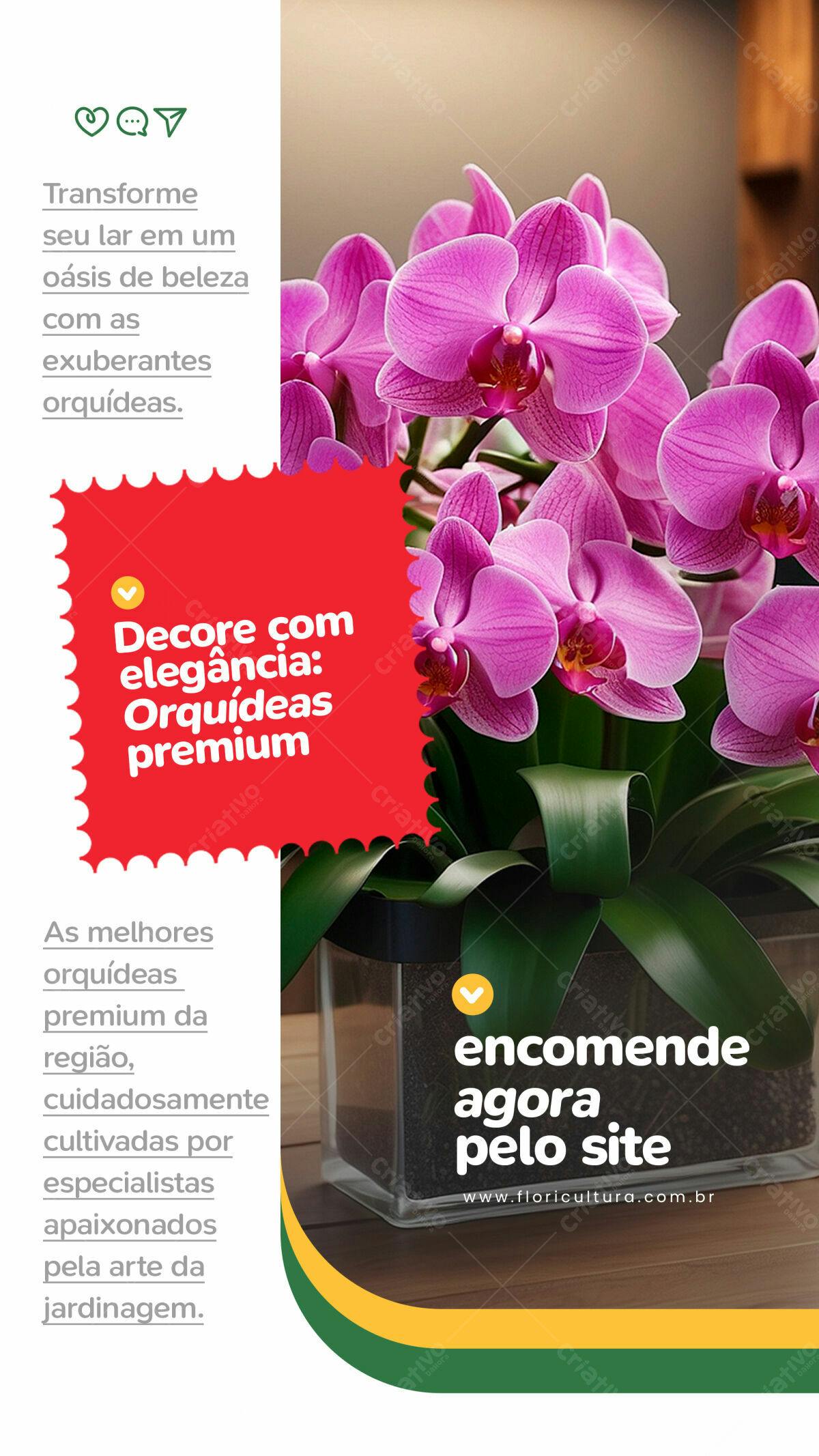 Flyer Orquídeas Premium PSD Editável