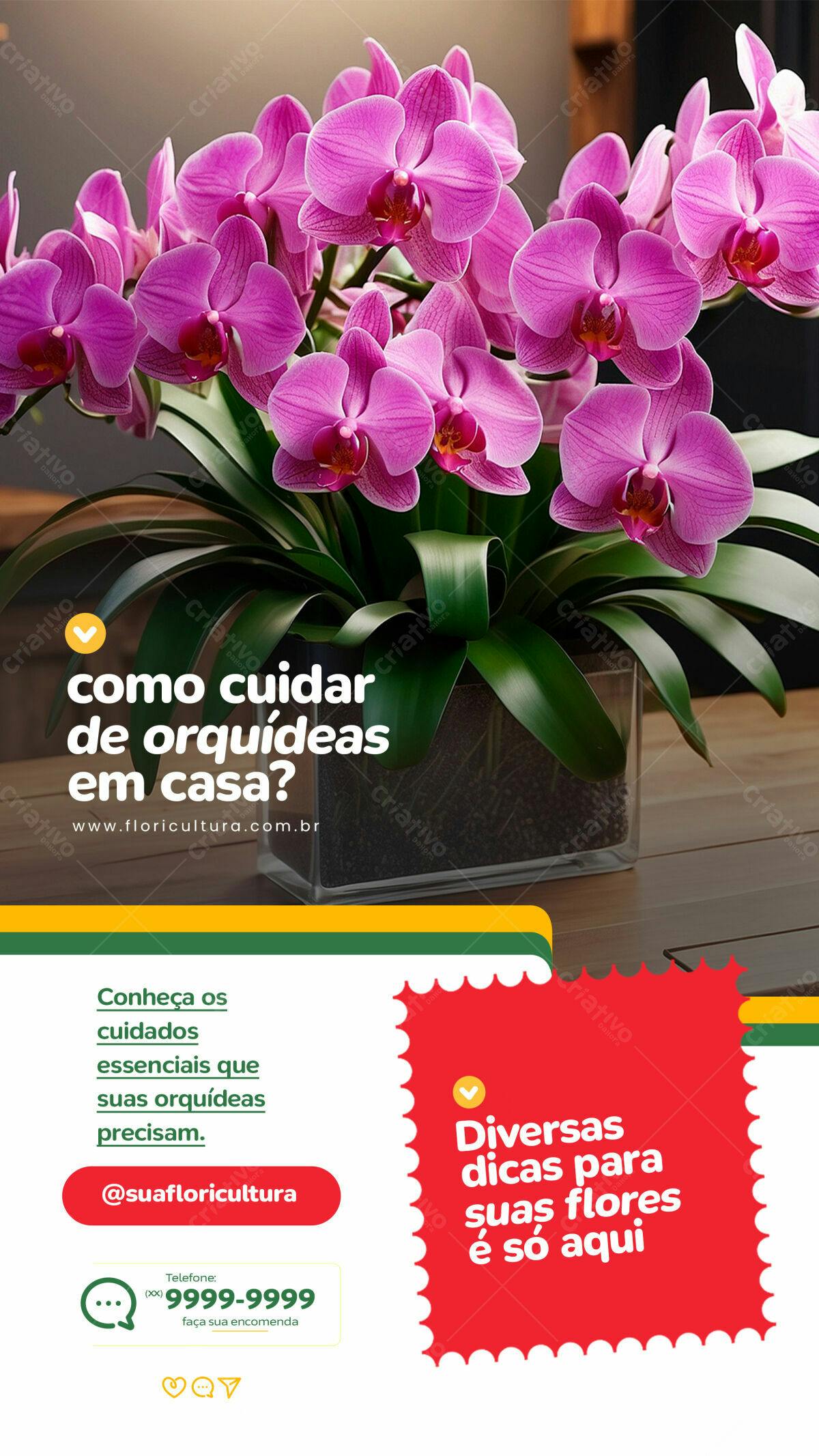 Flyer para Cuidados com Orquídeas PSD Editável