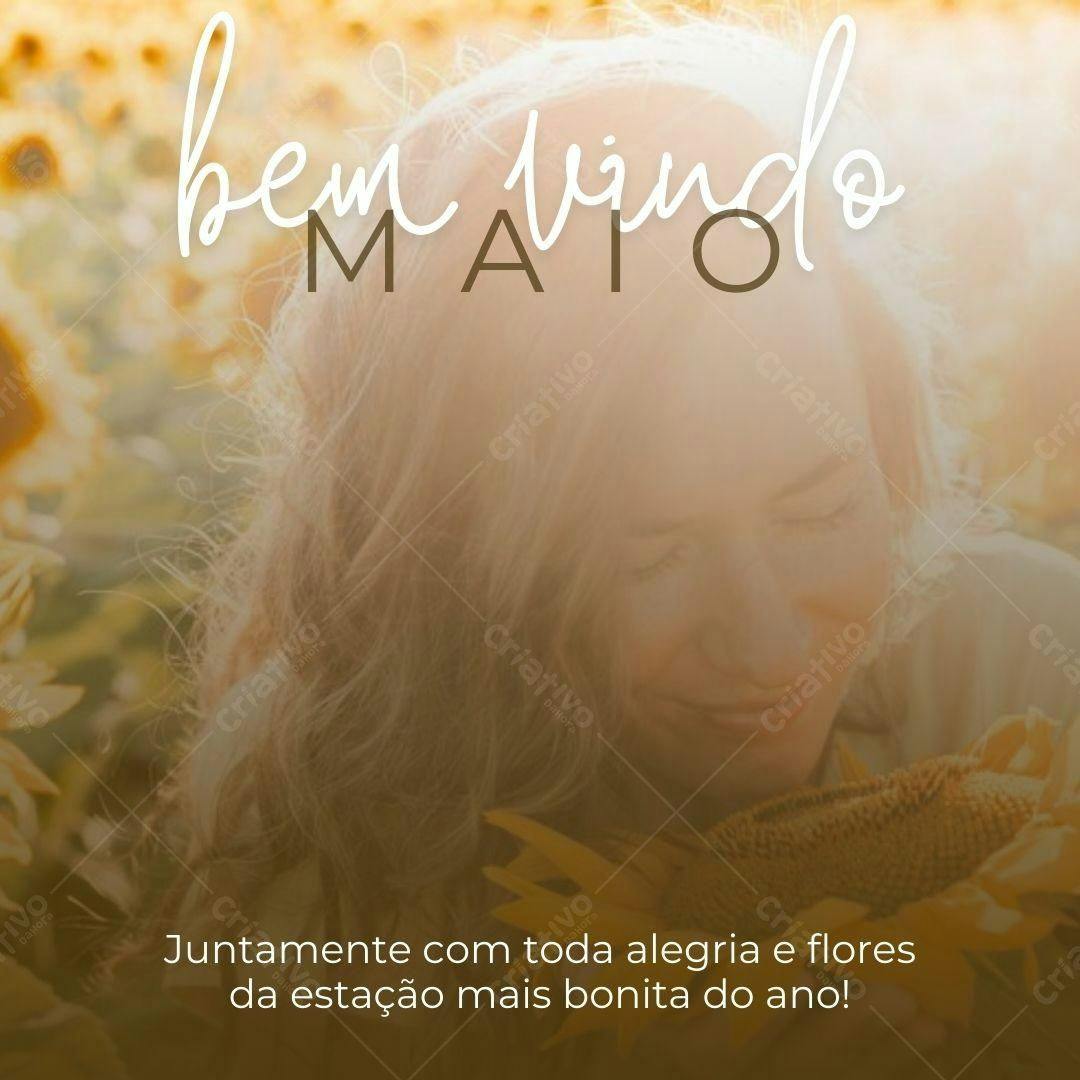 Post Instagram Boas Vindas Maio com Girassóis Editável no Canva