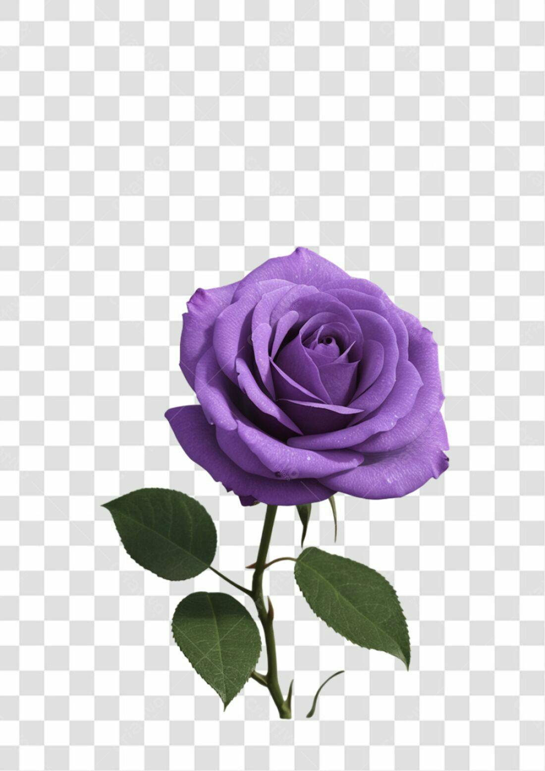 Icone Rosa Lilás Dia dos Namorados PNG com fundo transparente