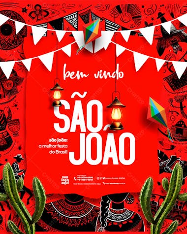 São joão festa junina feed 2