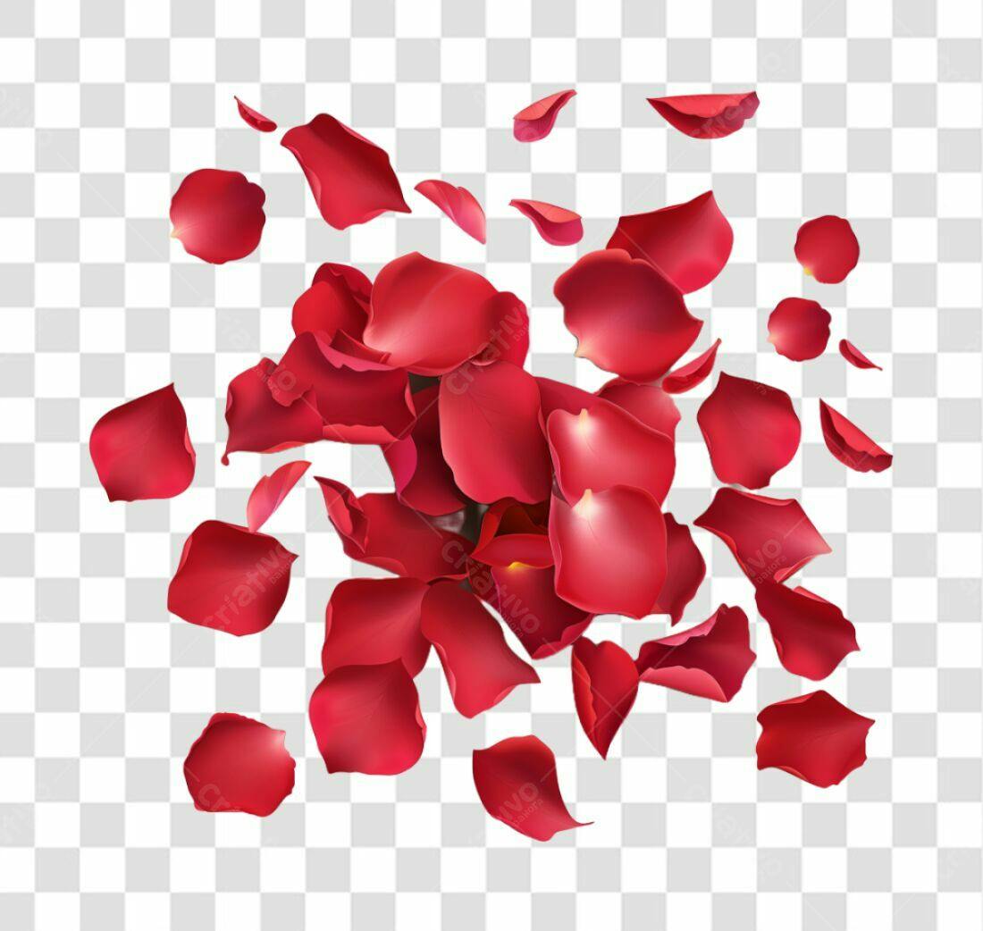 Decoração Dia dos Namorados Pétalas PNG com fundo transparente