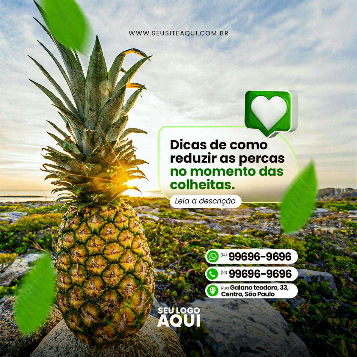Post para Agricultura PSD Editável