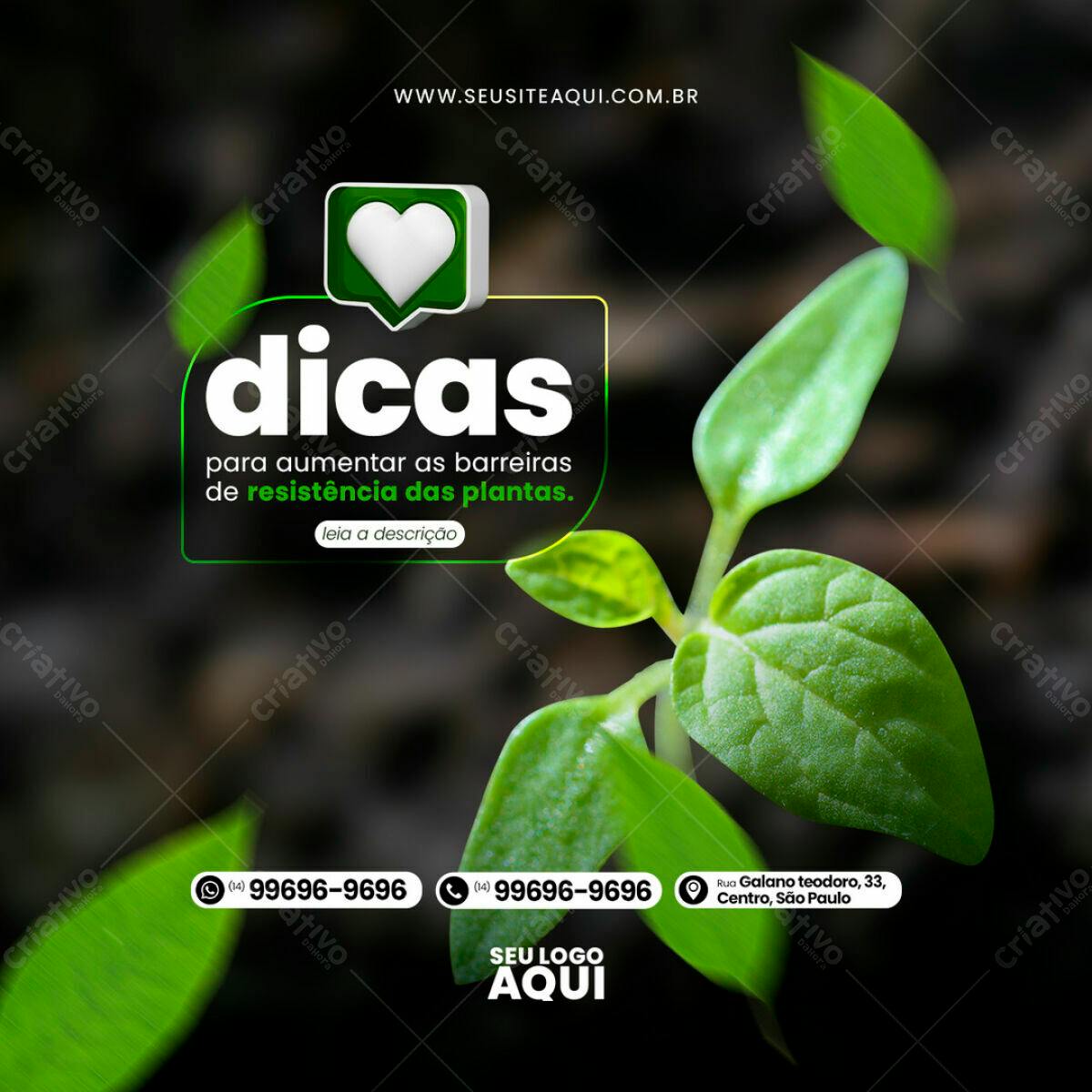 Postagem Instagram Plantas Resistentes PSD Editável