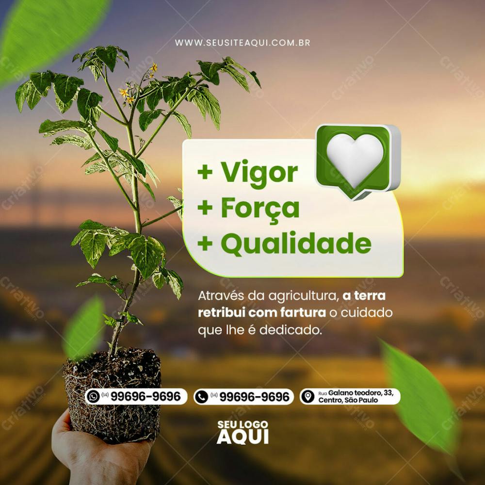 Feed Quadrado Agronegocio Agropecuaria Socail Media